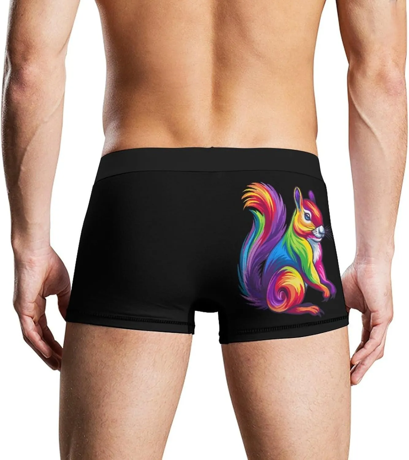 Cute Rainbow Squirrel Men's Boxer Briefs Soft Underwear Breathable Trunks with Waistband